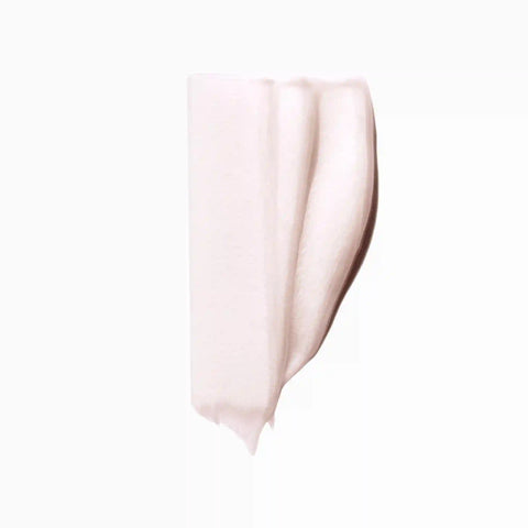 Chroma Absolu Chroma Filler Hair Mask