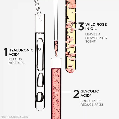 Gloss Absolu Anti-Frizz Full Routine