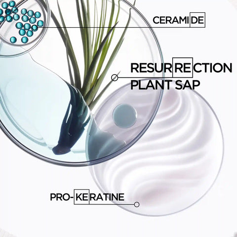 Résistance Masque Force Architecte Hair Mask